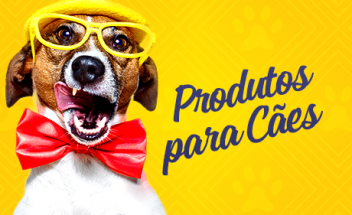 Produtos para Cães em Fortaleza