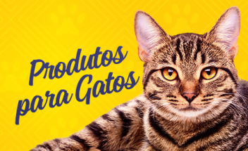 Produtos para Gatos em Fortaleza