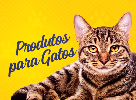 Gatos